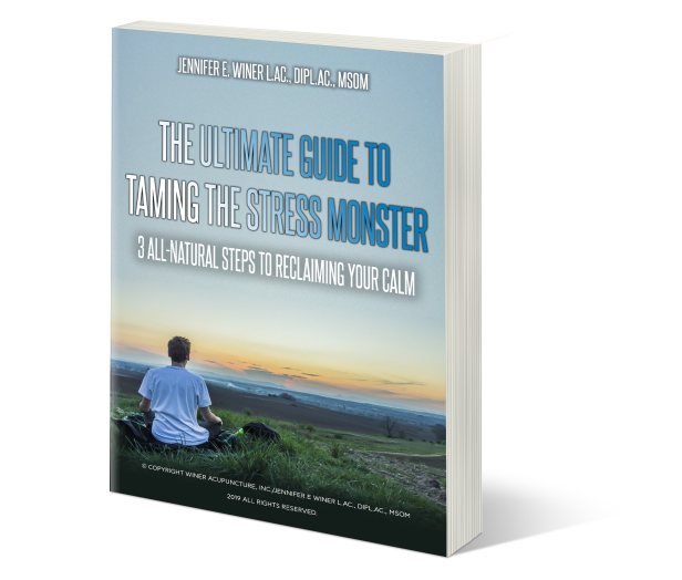 The book The Ultimate Guide to Taming the Stress Monster standing upright